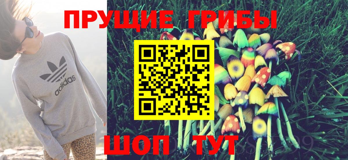 Псилоцибиновые грибы MAGIC MUSHROOMS Алейск