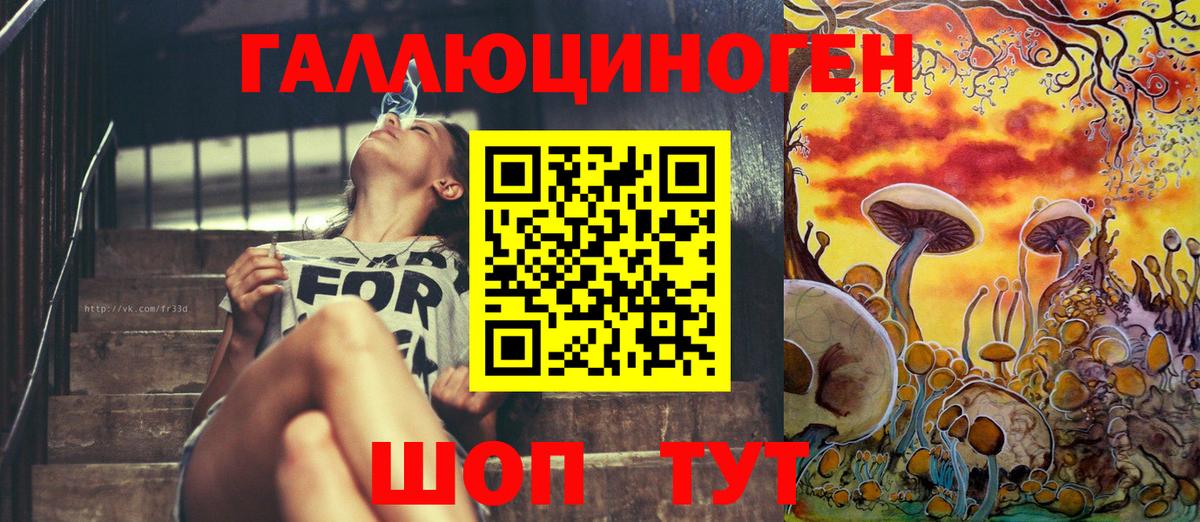 Псилоцибиновые грибы GOLDEN TEACHER  Вход с VPN  Алейск 